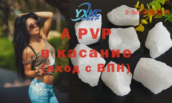 стаф Абаза