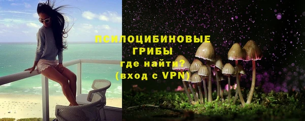 стаф Абаза