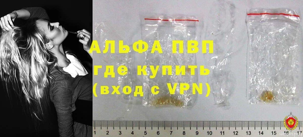 стаф Абаза