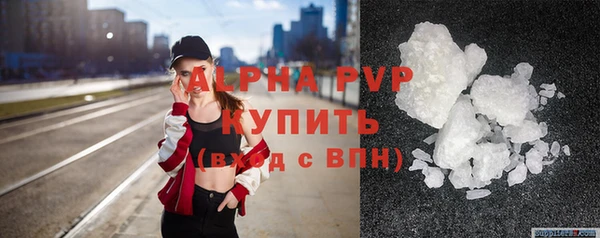 стафф Новокубанск
